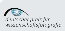 logo dpfwf